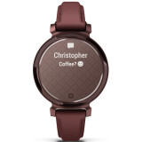 Умные часы Garmin Lily 2 Classic Dark Bronze (010-02839-03)