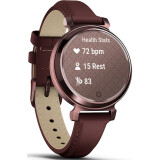 Умные часы Garmin Lily 2 Classic Dark Bronze (010-02839-03)