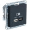Розетка USB Systeme Electric ATN001029