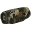 Портативная акустика JBL Charge 6 Camouflage - JBLCHARGE6SQUAD - фото 2