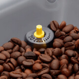 Кофемашина Gaggia Cadorna Style Black (RI9600/01)