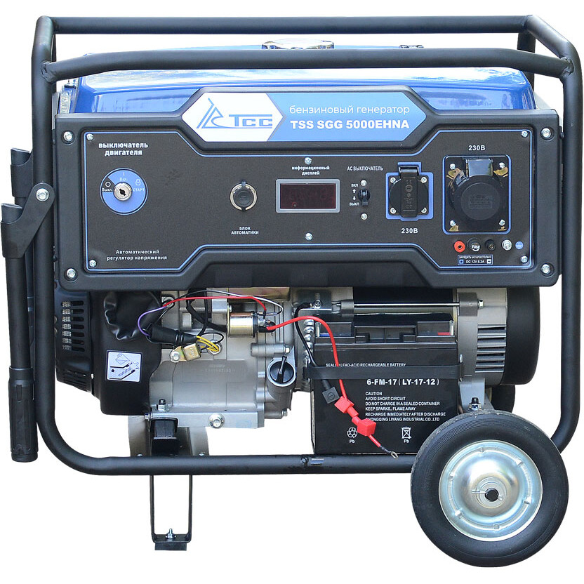 Генератор ТСС SGG 5000EHNA - 160008 - фото 2