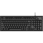 Клавиатура Rapoo NK2800 Black