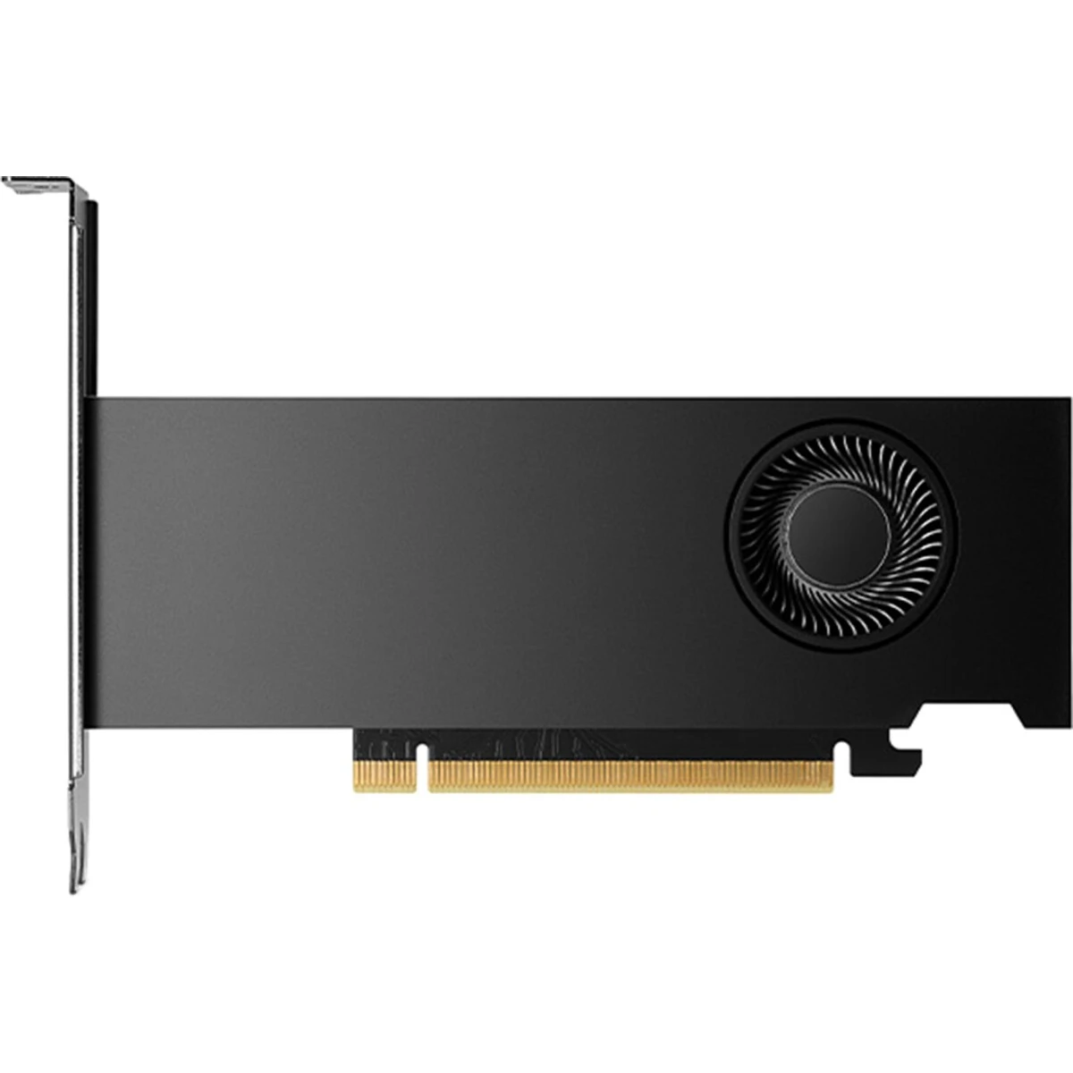 Видеокарта NVIDIA Quadro RTX 2000 Ada 16Gb (900-5G192-2240-000) OEM - фото 2