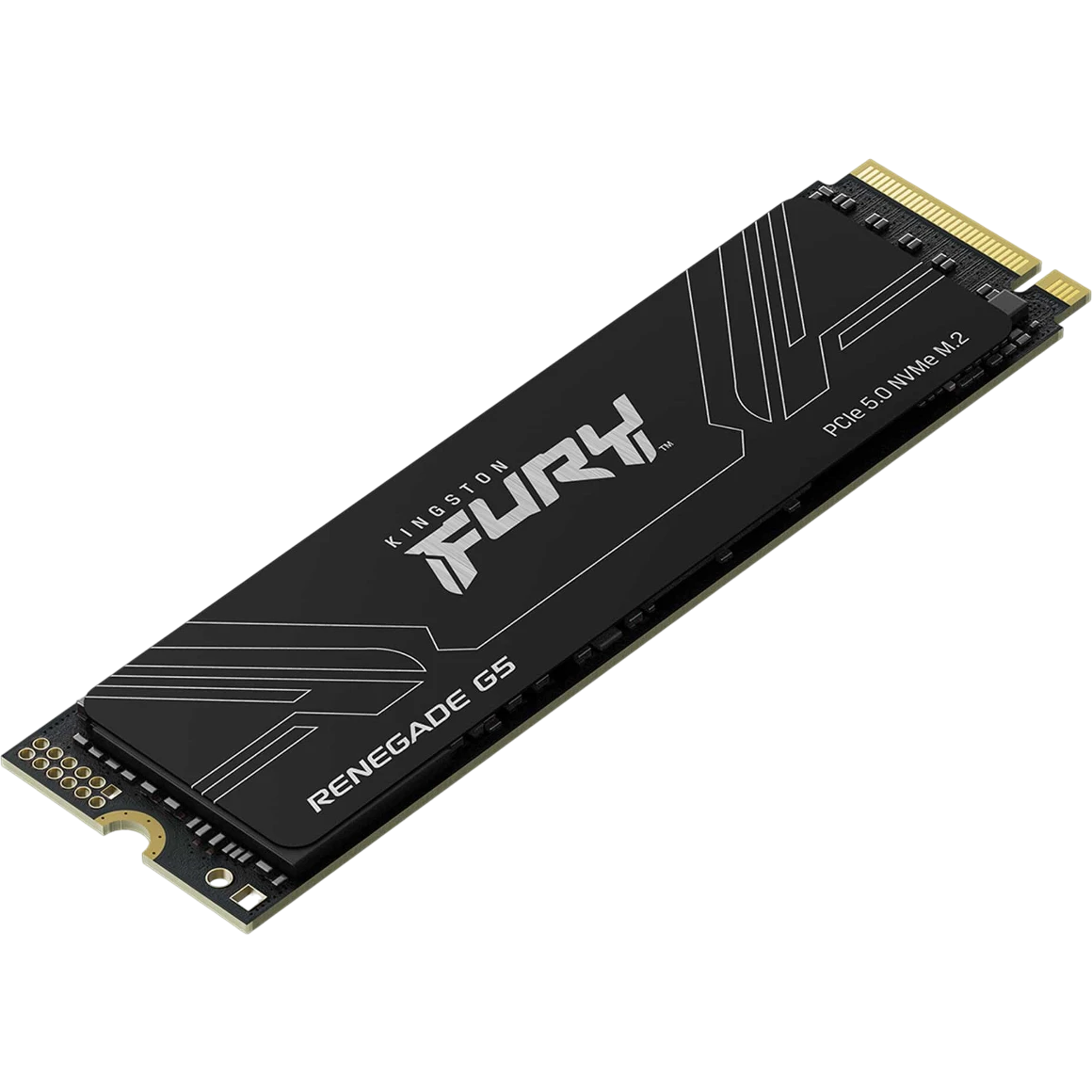 Накопитель SSD 1Tb Kingston FURY Renegade G5 (SFYR2S/1T0)