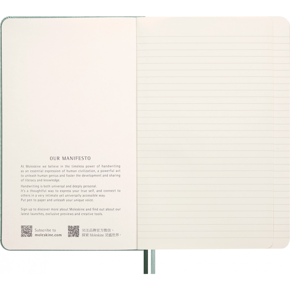 Блокнот Moleskine LECNYSNKVEGMBOX - фото 6