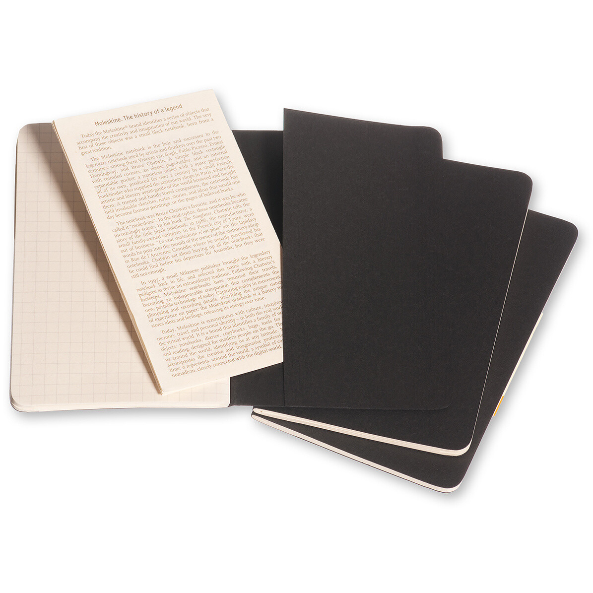 Блокнот Moleskine QP312 (3 шт.) - фото 5