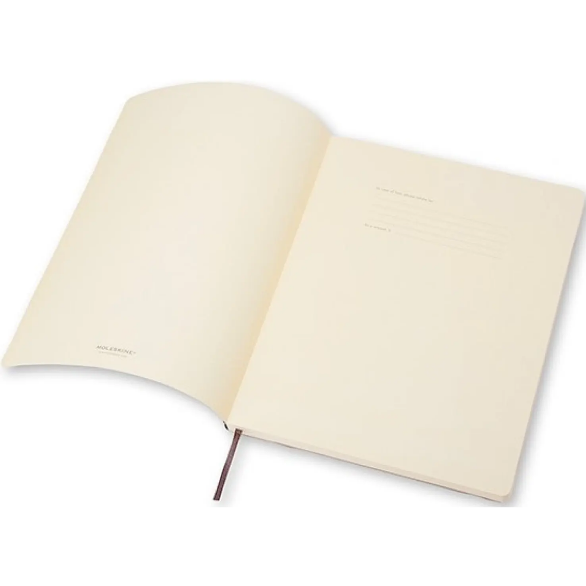 Блокнот Moleskine QP622 - фото 6