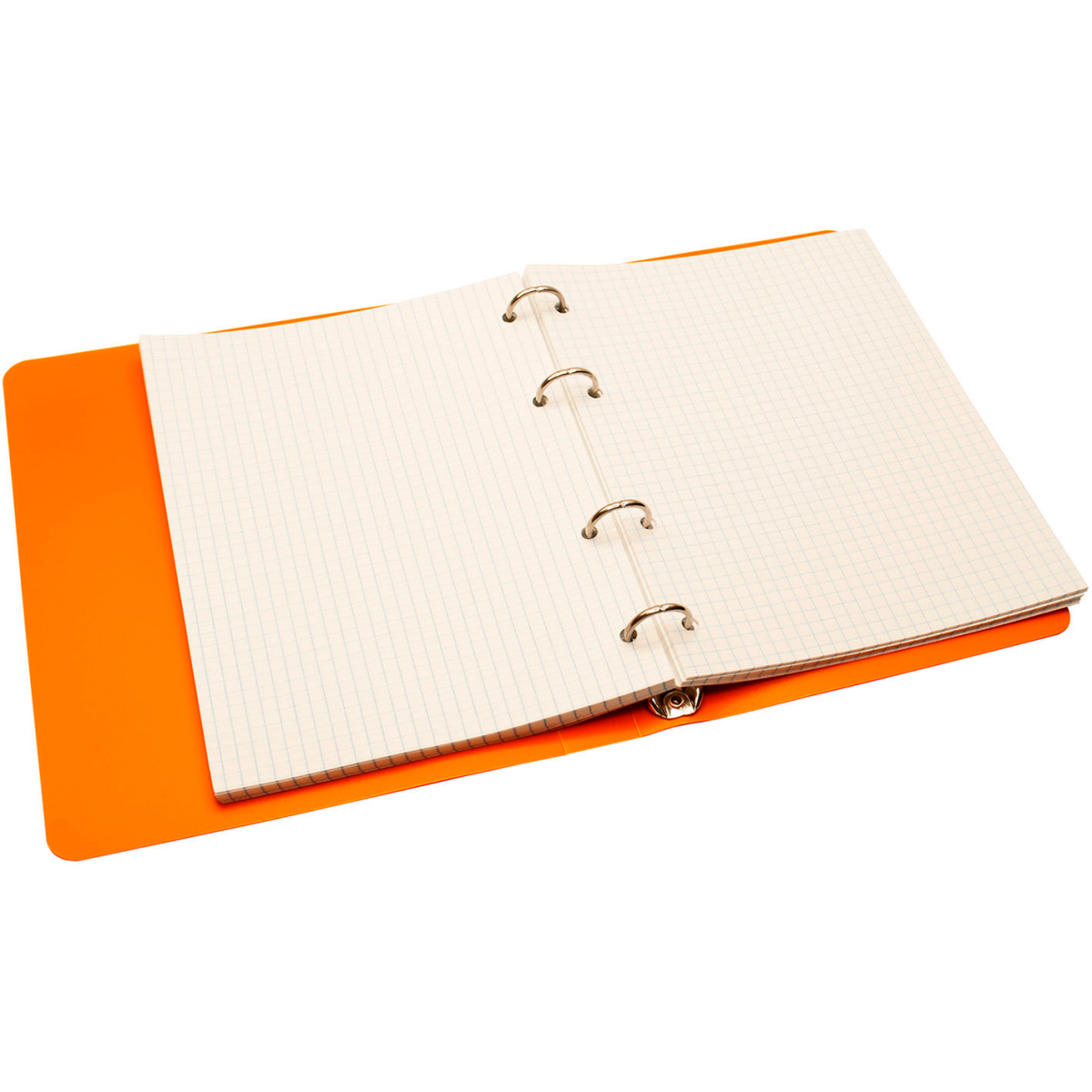 Тетрадь на кольцах Silwerhof 1848231 - фото 3