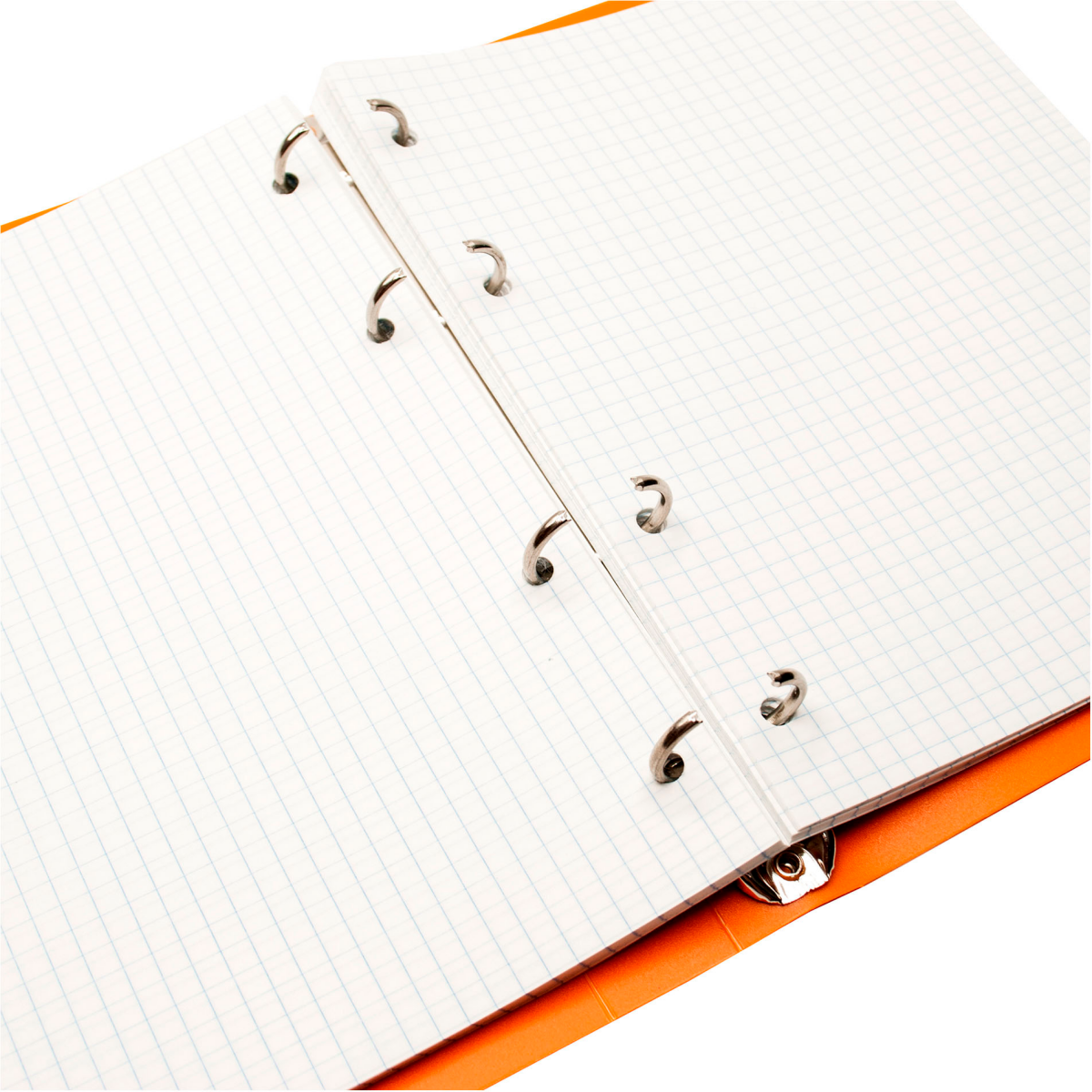 Тетрадь на кольцах Silwerhof 1848231 - фото 4