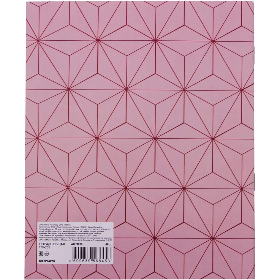 Тетрадь Artplays ARTM39 - фото 2