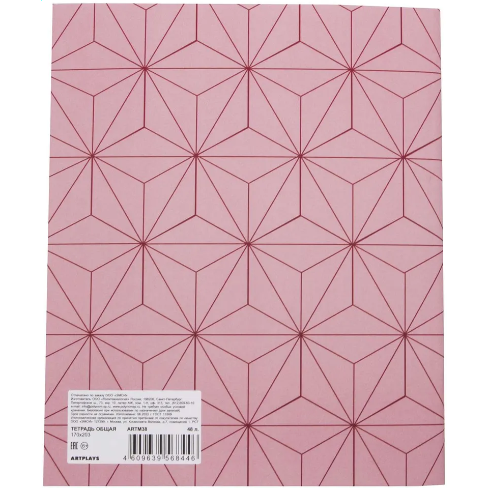 Тетрадь Artplays ARTM38 - фото 2