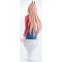 Фигурка Banpresto Chainsaw Man Power - 4983164285604 - фото 3