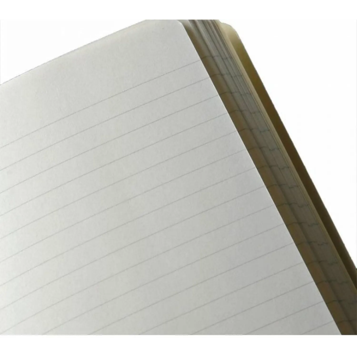 Блокнот Moleskine QP060 - фото 5