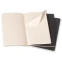 Блокнот Moleskine QP316 (3 шт.) - фото 5