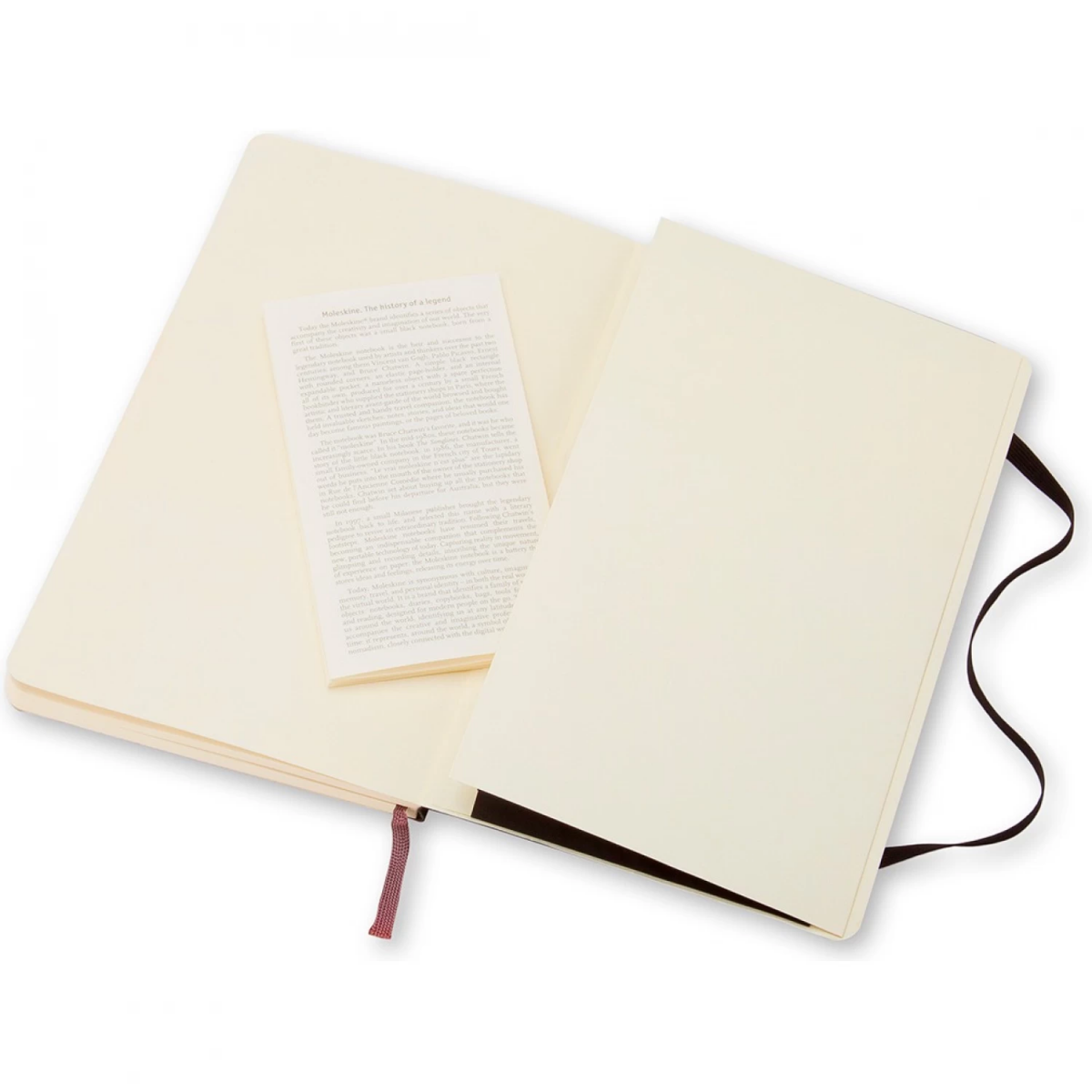 Блокнот Moleskine QP616 - фото 4