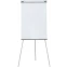 Флипчарт Cactus CS-FCT-W67X105
