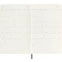 Ежедневник Moleskine DSB18DC3 - фото 4