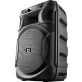Портативная акустика Defender Boomer 12 Black (65412)