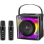 Портативная акустика Defender Versuz Black - 65088 - фото 12