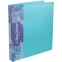 Папка на 2-х кольцах Бюрократ PAST0812/2RBLUE