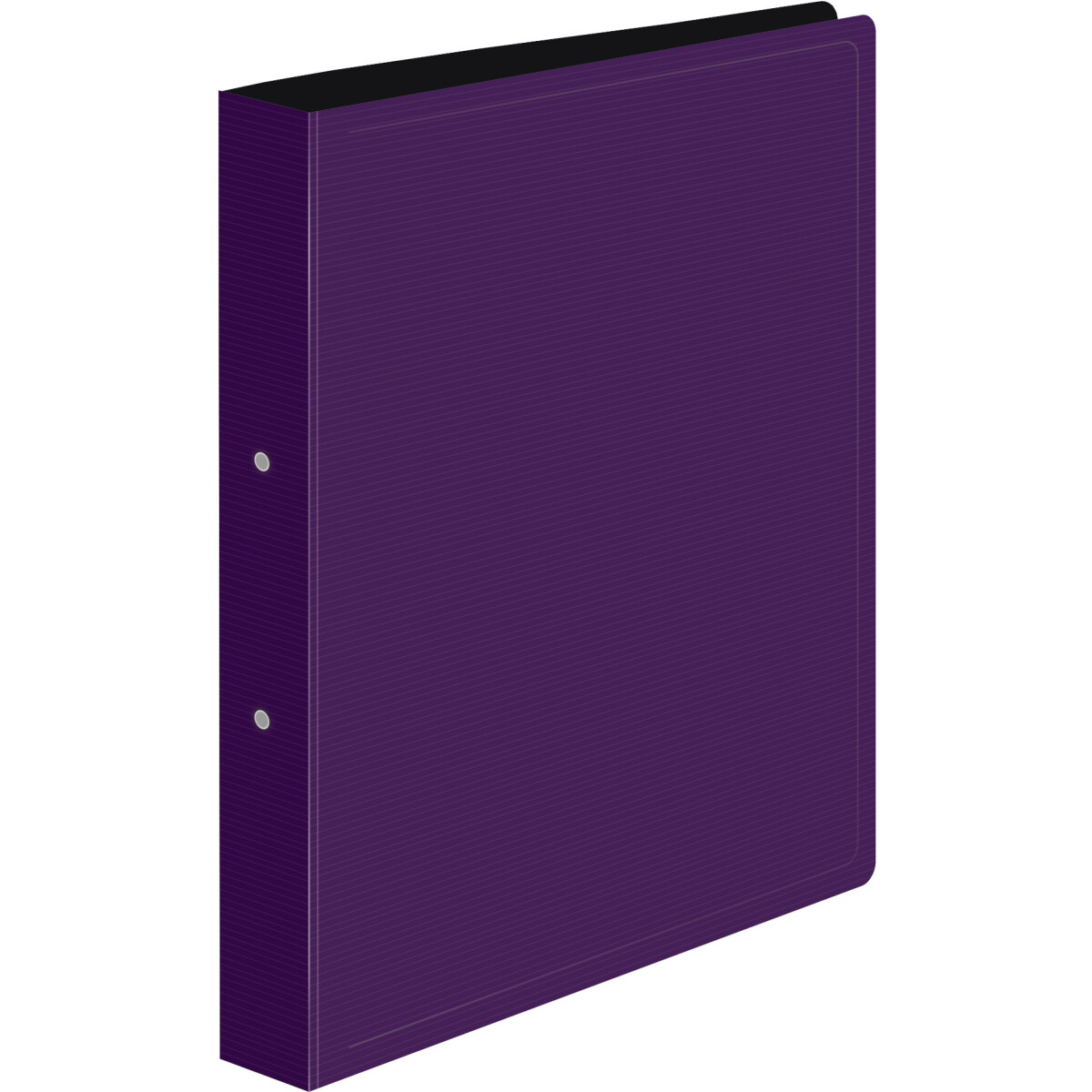 Папка на 2-х кольцах Бюрократ DL0740/2BBERRY - фото 2