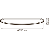 Светильник JazzWay ДБО-24w STARWAY-2 (5025479)