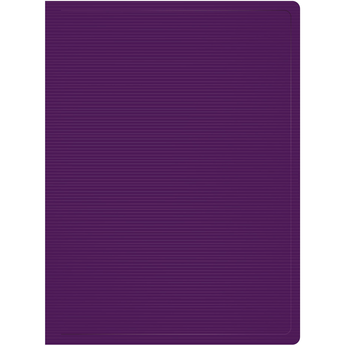 Папка файловая Бюрократ DLV20BBERRY