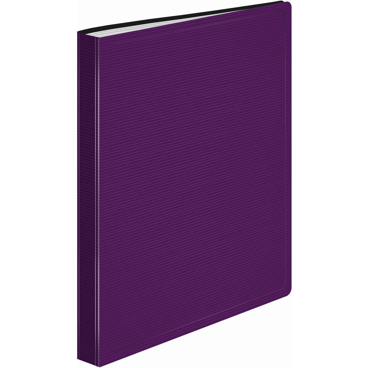 Папка файловая Бюрократ DLV20BBERRY - фото 2