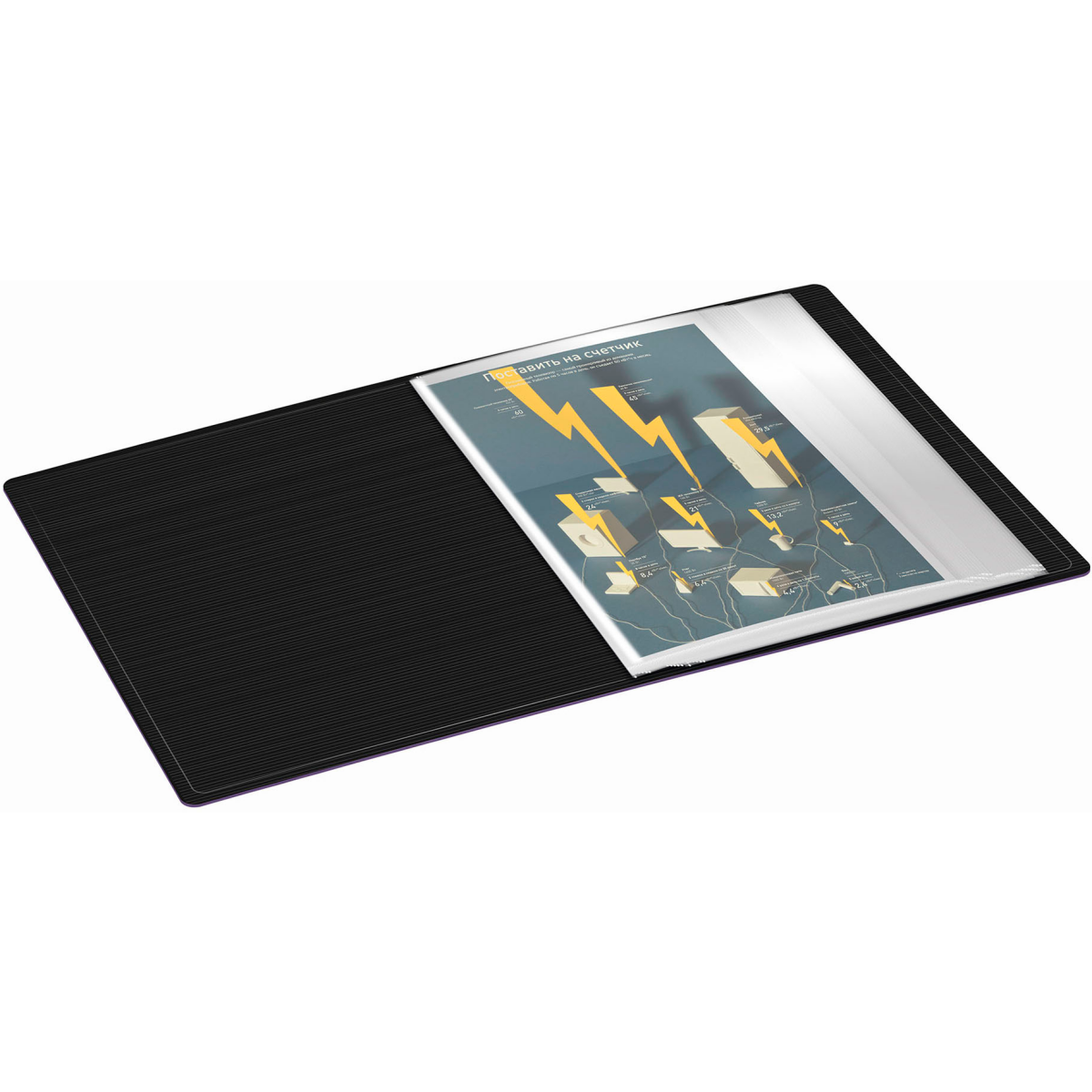 Папка файловая Бюрократ DLV20BBERRY - фото 6