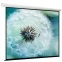 Экран ViewScreen Breston 220x163см (EBR-16909)