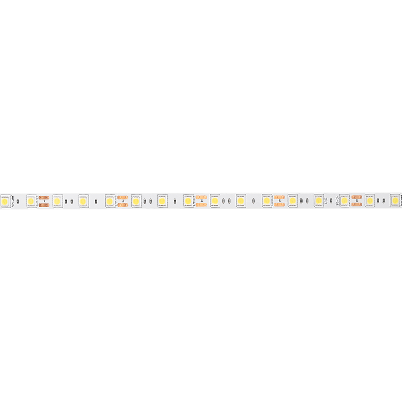Светодиодная лента JazzWay PLS 5050/60-12V - 6500K, 5м - 1000972