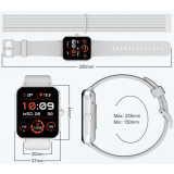 Умные часы Blackview R50 Grey (6931548317531)