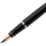 Ручка перьевая Waterman Expert 3 (S0951640)