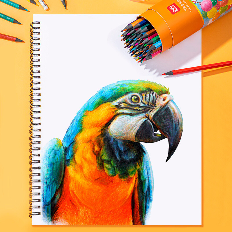 Набор карандашей Deli 7073-24 - фото 4