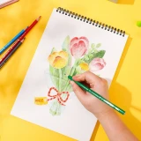 Набор карандашей Deli EC00817