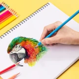 Набор карандашей Deli EC00210