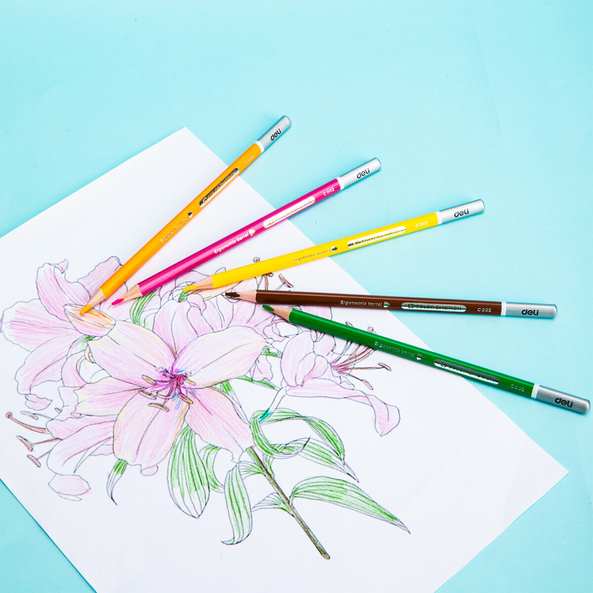 Набор карандашей Deli EC00225 - фото 2