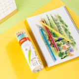 Набор карандашей Deli EC112-24