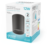 Светильник Gauss HD007