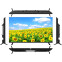 ЖК телевизор AIWA 43" WS-438G - фото 5
