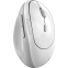 Мышь Genius Ergo 8350S White Grey - 31030041401
