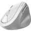 Мышь Genius Ergo 8350S White Grey - 31030041401 - фото 4