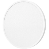 Умный светильник Xiaomi Smart Ceiling Light D30 (BHR9934GL)