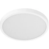 Умный светильник Xiaomi Smart Ceiling Light D30 (BHR9934GL)