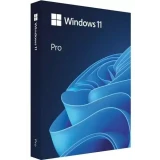 ПО Microsoft Windows 11 Professional 64-bit English FPP USB (HAV-00180)