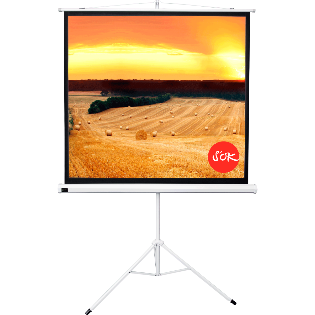 Экран Sakura SCPST-158x158