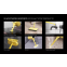 Пароочиститель Polaris PSC 1711C Yellow/Black - фото 14