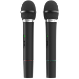 Радиосистема Ritmix RWM-220 Black