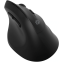 Мышь Oklick 688MW ERGO Black - 2070320 - фото 2